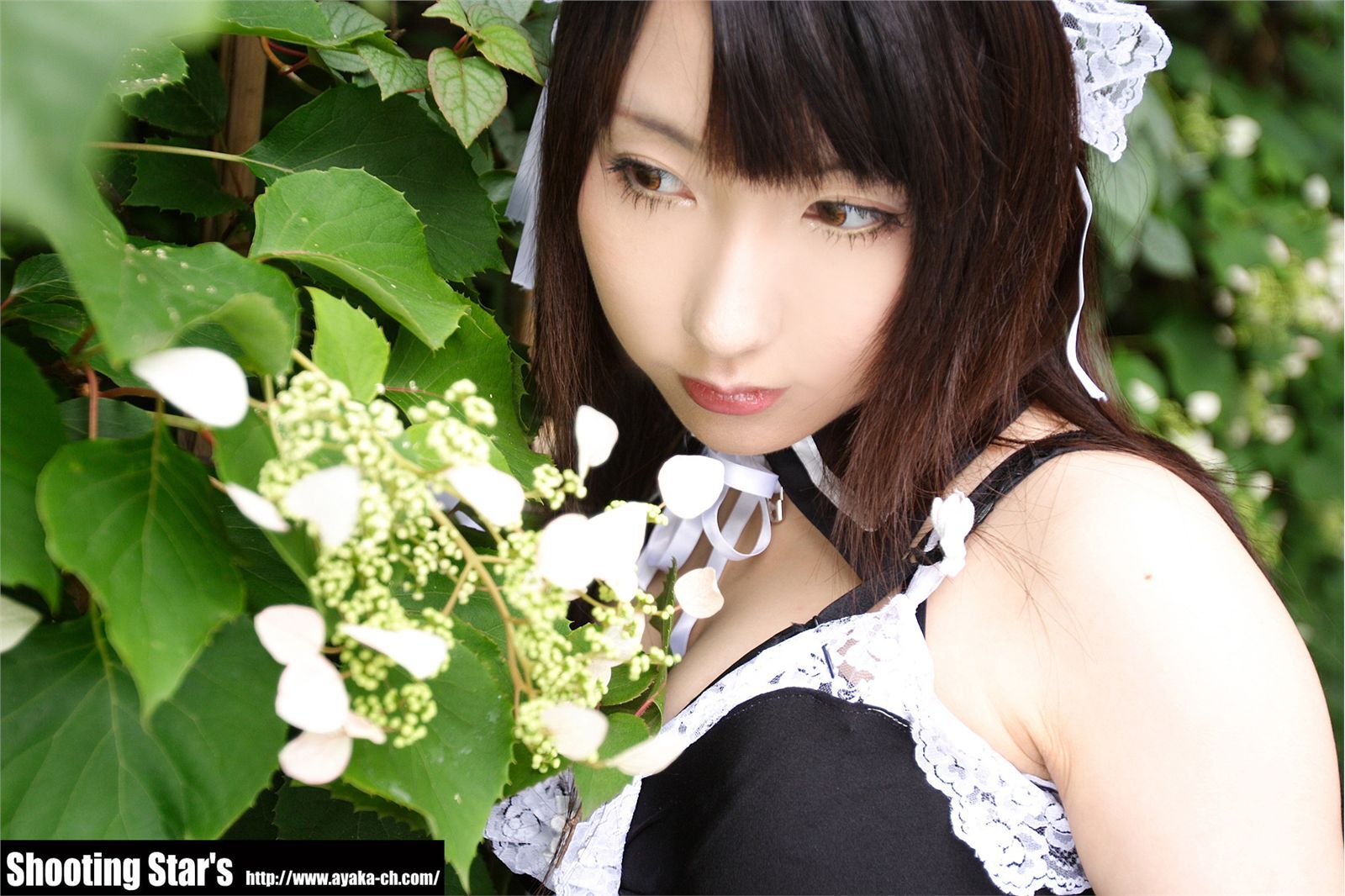 [Cosplay]  Sexy Maid with big boobs